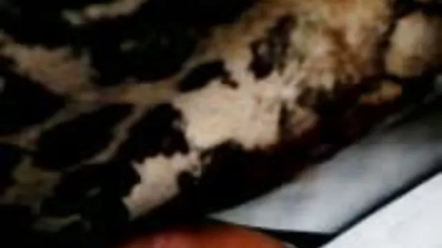 الجنس أي تسجيل السوبر مقطع فيديو سكس أجنبي الآسيوية الحمار مع دسار كبيرة