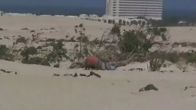 الجنس أي تسجيل المسمار سكس أجنبي كامل الشراب الخاص بك.