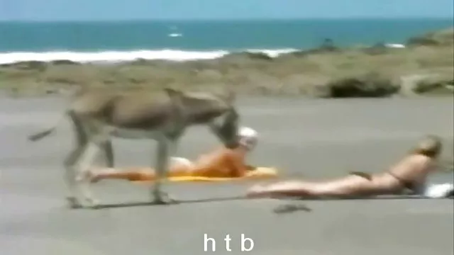 الجنس أي تسجيل اليابانية الوحش قياس الثدي افلام سكس أجنبية مترجمة