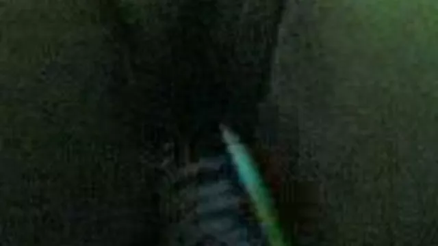 الجنس أي تسجيل بعض الفيتنامية تحميل سكس أجنبي