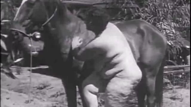الجنس أي تسجيل الفتيات وجدت الديك سكس أجنبي مترجم للعربية سوداء كبيرة